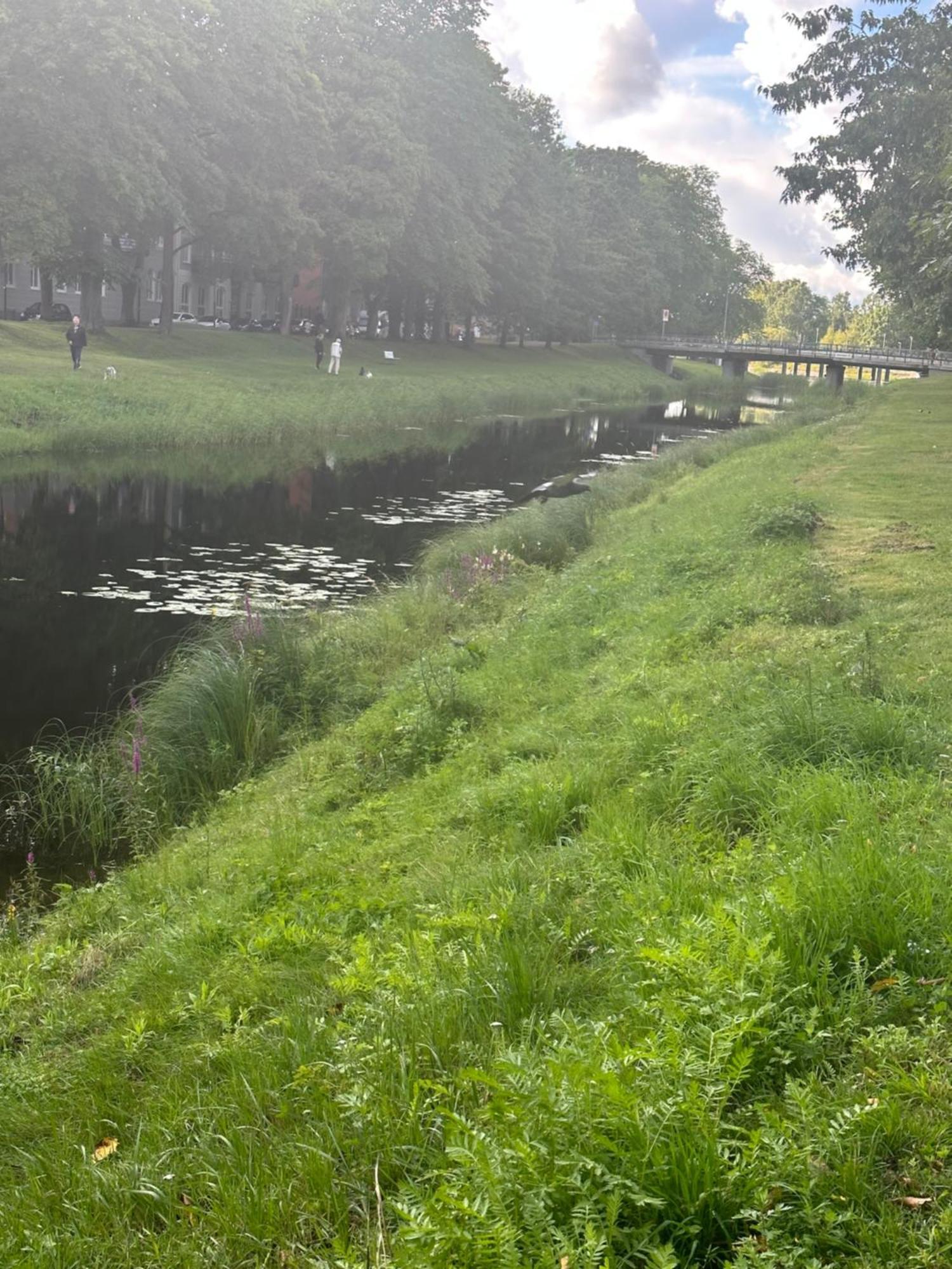 Pramkanalens Pensionat I Karlstad Dış mekan fotoğraf